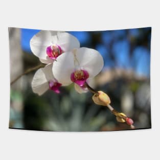 White Orchid Trio Pink Centers Tapestry