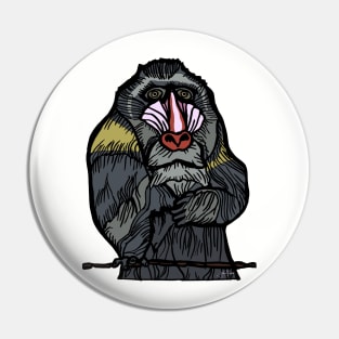 Painted Mandrill (transparent) Pin