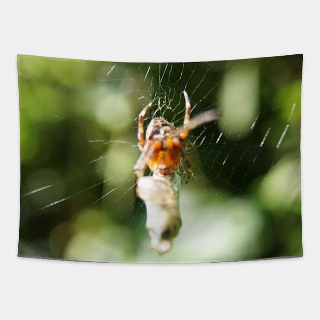 Spider With Packaged Prey Tapestry by Pirino