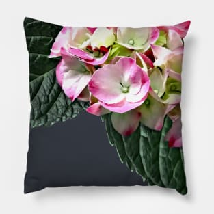 Elegant Pink and White Hydrangea Pillow