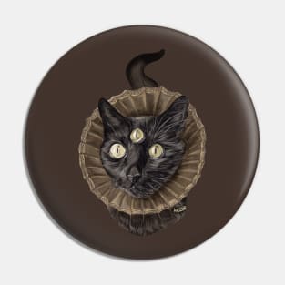 three eyed cat Pin