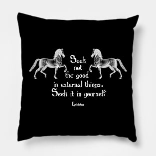 Stoic Quote from Epictetus Pillow