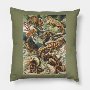 Lizard Art Print Ernst Haeckel Pillow