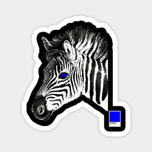 ZEBRA BLUE - white full  by COLORBLIND WorldView Magnet