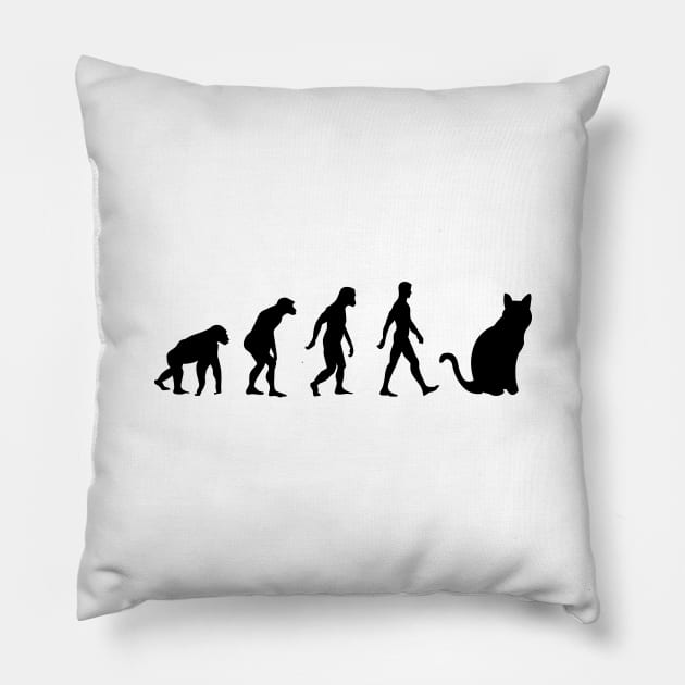 HUMAN CAT EVOLUTION Pillow by MoreThanThat