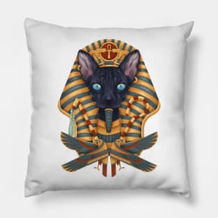 The Guardians of Time Pillow