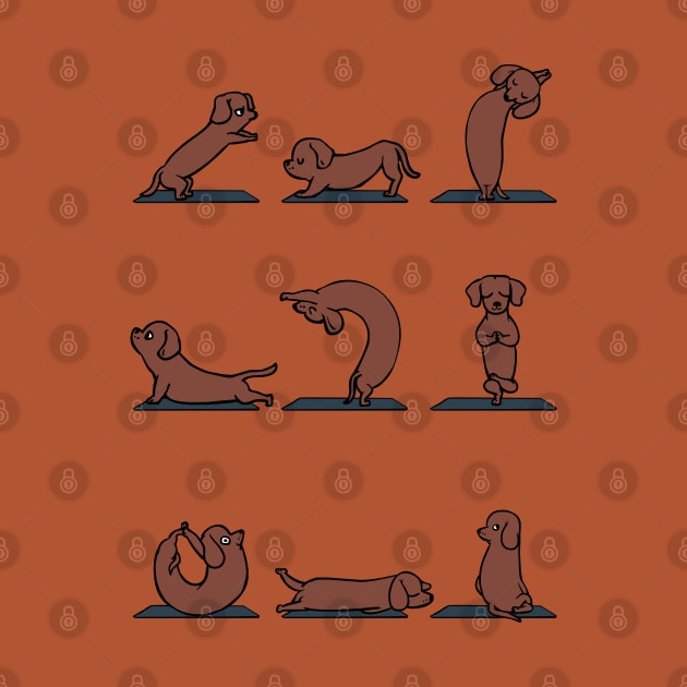 Dachshund yoga by huebucket