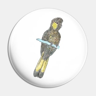 Yellow-tailed Black-cockatoo Pin