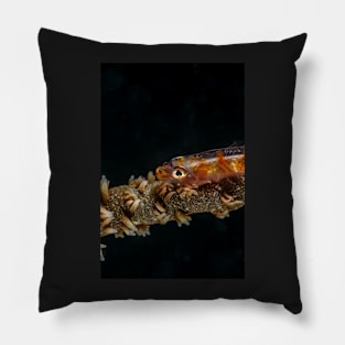 Colored sea whip coral goby Pillow
