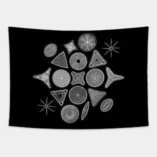 Monochromatic Diatoms Tapestry