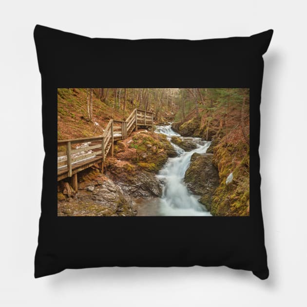 Centipede Step Falls Pillow by somadjinn