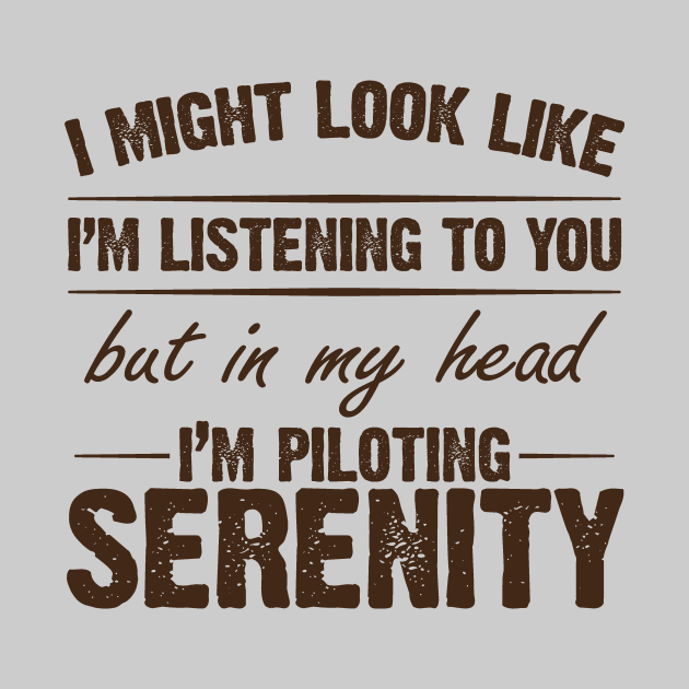 Piloting Serenity by bigdamnbrowncoats