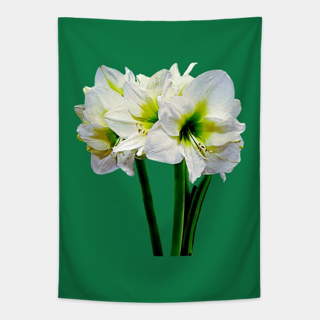 Amaryllis Green Princess Tapestry by SusanSavad