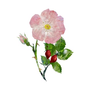 Dog rose, T-Shirt