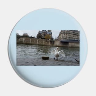 Paris Swans in the River Seine Pin