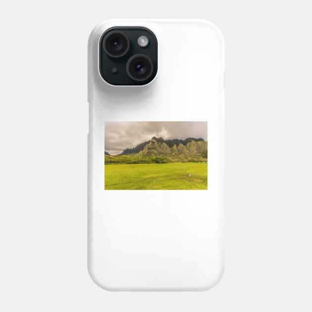 Landscapes with Cattle Egret Phone Case by KensLensDesigns