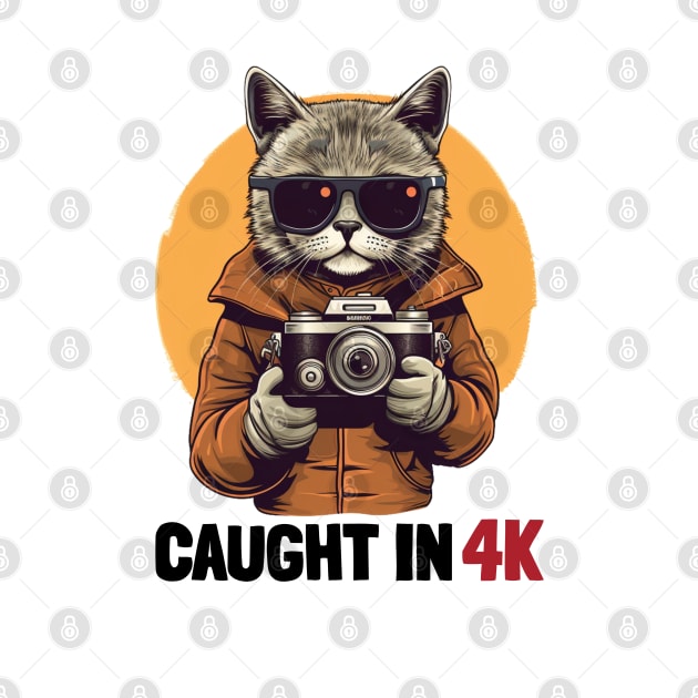 Caught in 4k by mksjr