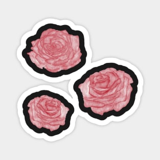 Pink watercolor roses stickers Magnet