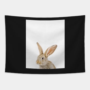 Baby Rabbit print, Nursery, Animal, Bunny, Modern Wall decor, Woodland Tapestry