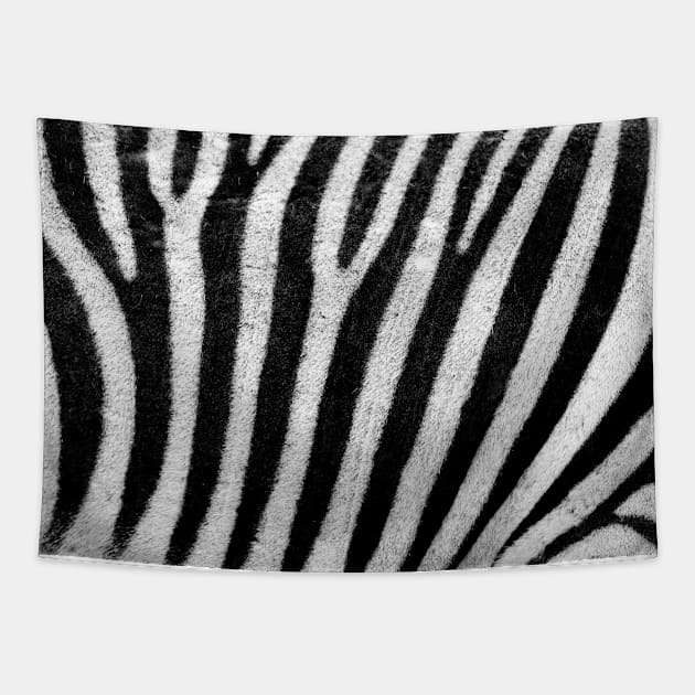 ZebraStripes Tapestry by BSquared