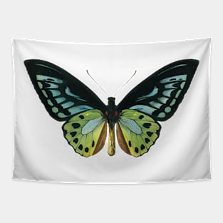 butterfly Tapestry