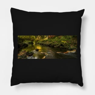 West Beck, Gothland, North Yorkshire Pillow