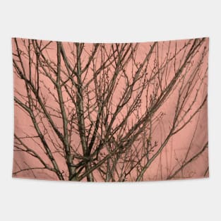 Bare tree against a pink wall Tapestry