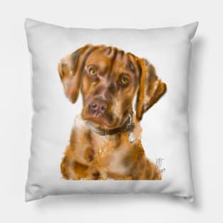 A Pensive Vizsla Puppy Pillow