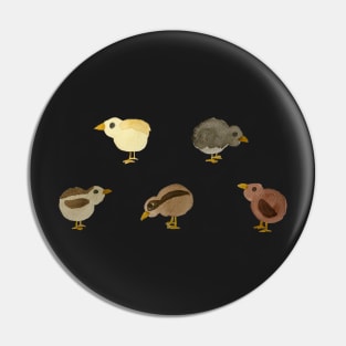 Baby chicks Pin