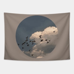 aesthetic sky Tapestry