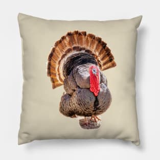 Tall Turkey tails Pillow