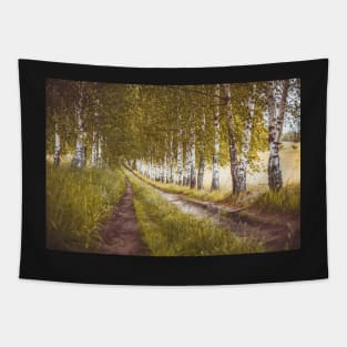 Autumn birches alley Tapestry