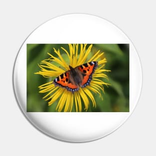 Small tortoiseshell Pin