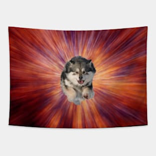 Lapphund on fire! Tapestry