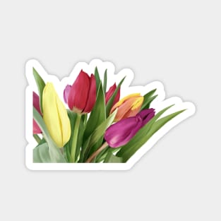 Tulips Magnet