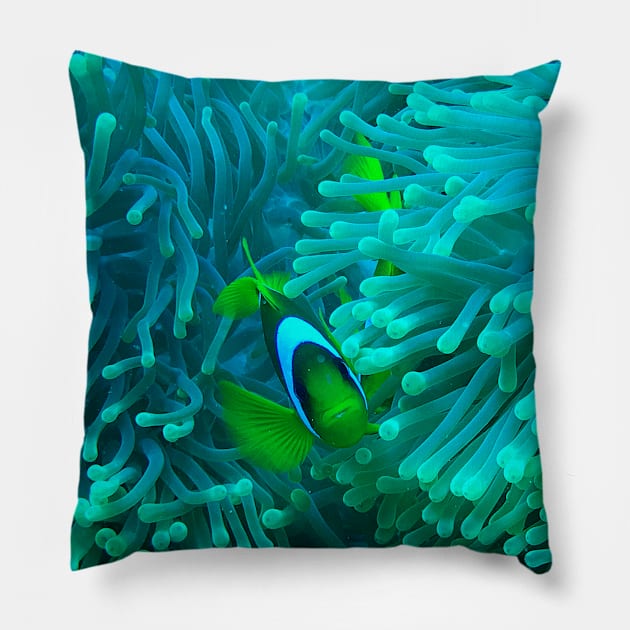 Clownfish Pillow by likbatonboot