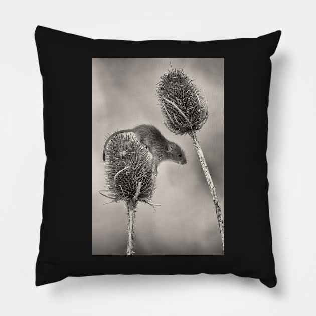 Harvest Mouse Pillow by mansaards