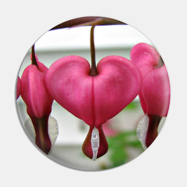 Bleeding Hearts Pin by ARTWORKandBEYOND