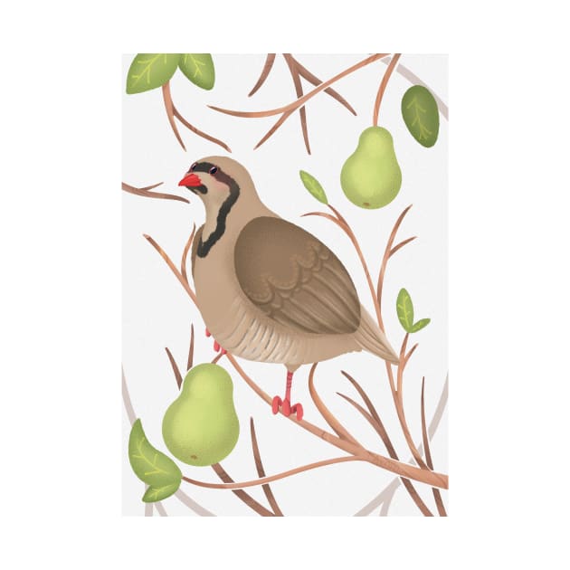 The Partridge and the Pear Tree by takoto