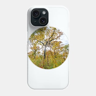 Sunshine Woods Photograph Phone Case