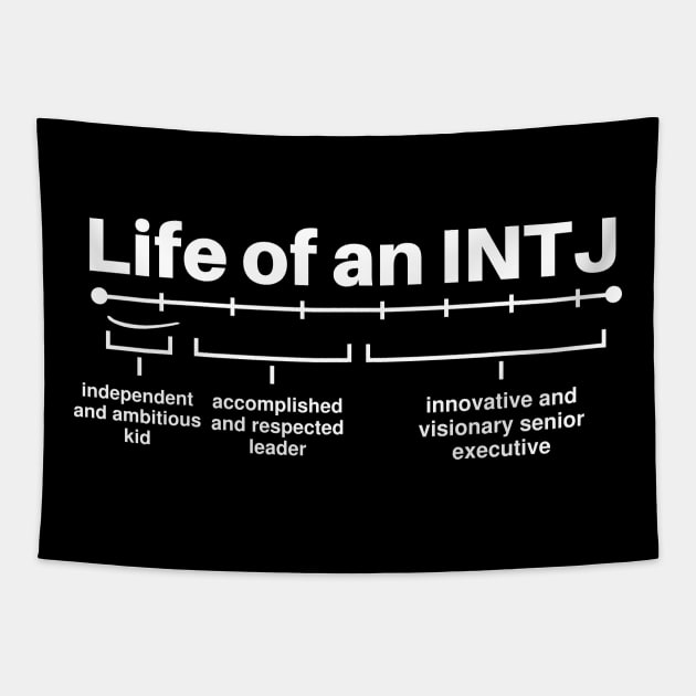 Life As An INTJ