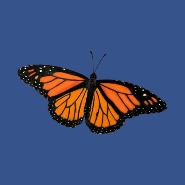 Monarch Butterfly Drawing by ArtAndBliss