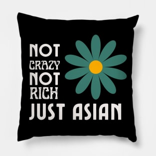 Not Crazy Not Rich Just Asian Pillow