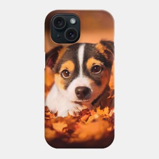 Cute dog at autumn nature Phone Case