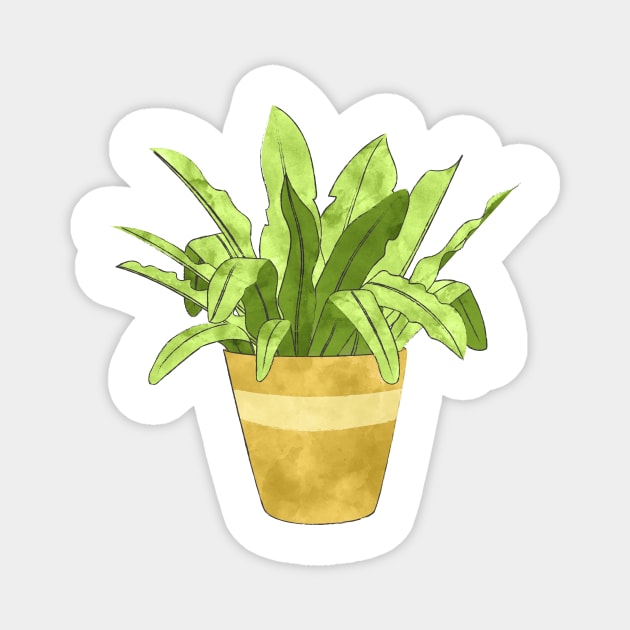 Bird&#39;s Nest Fern Magnet by ALaTati