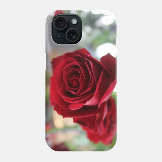 A Gorgeous Rose Phone Case by silentrob668