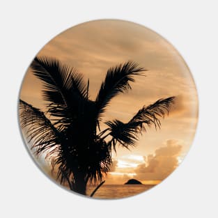 Warm cloudy sunset with palm tree silhouette Pin