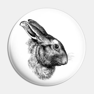 Rabbit Bunny Hare Cute Realistic Drawing Wildlife Animal Pin