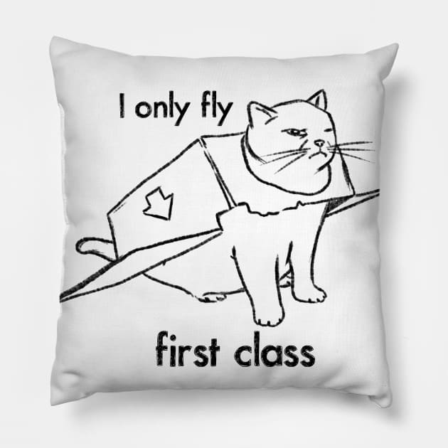 Funny Cat Drawing, First Class Kitty, Cat in Box Pillow by sockdogs