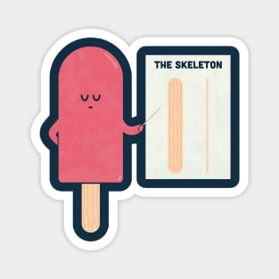 Anatomy Magnet